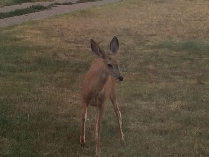 Stuff That's In My Photos