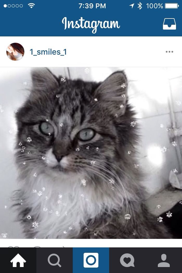 Stuff That's In My Photos