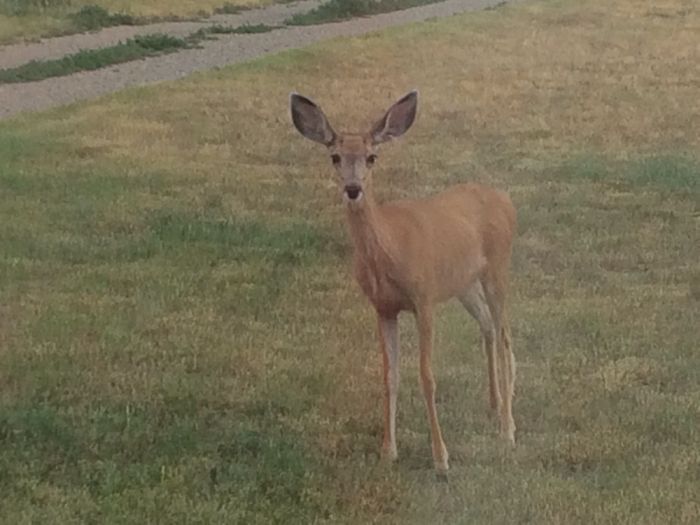 Stuff That's In My Photos