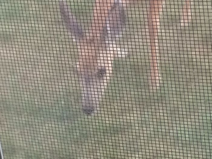 Stuff That's In My Photos