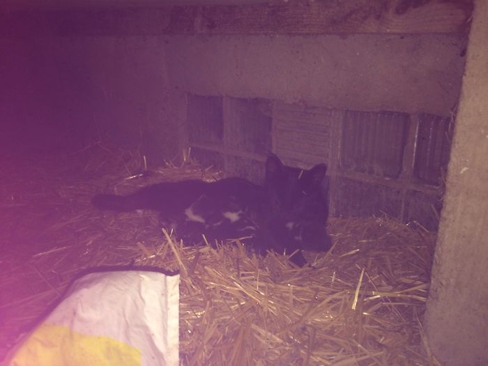 Stuff That's In My Photos