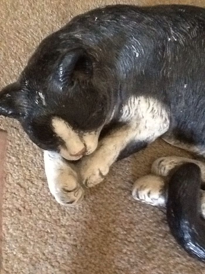 Stuff That's In My Photos