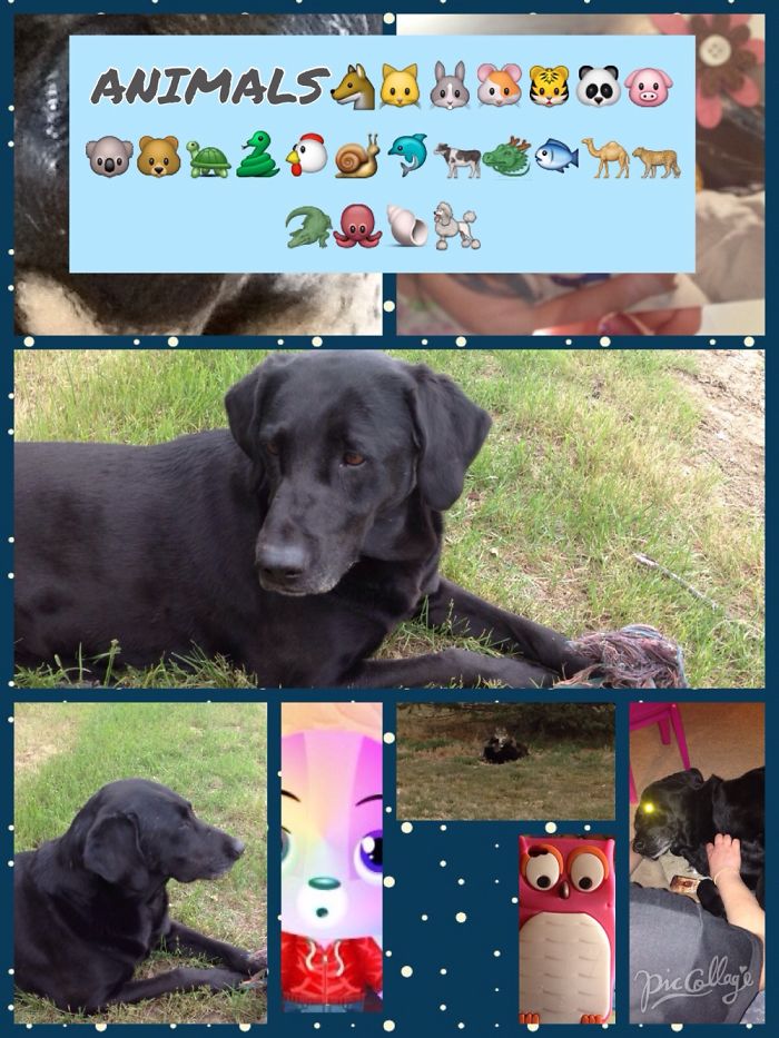 Stuff That's In My Photos