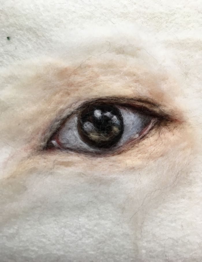 I’m "Painting" 100 Eyes In 100 Days In Wool I’m "Painting" 100 Eyes In 100 Days In Wool