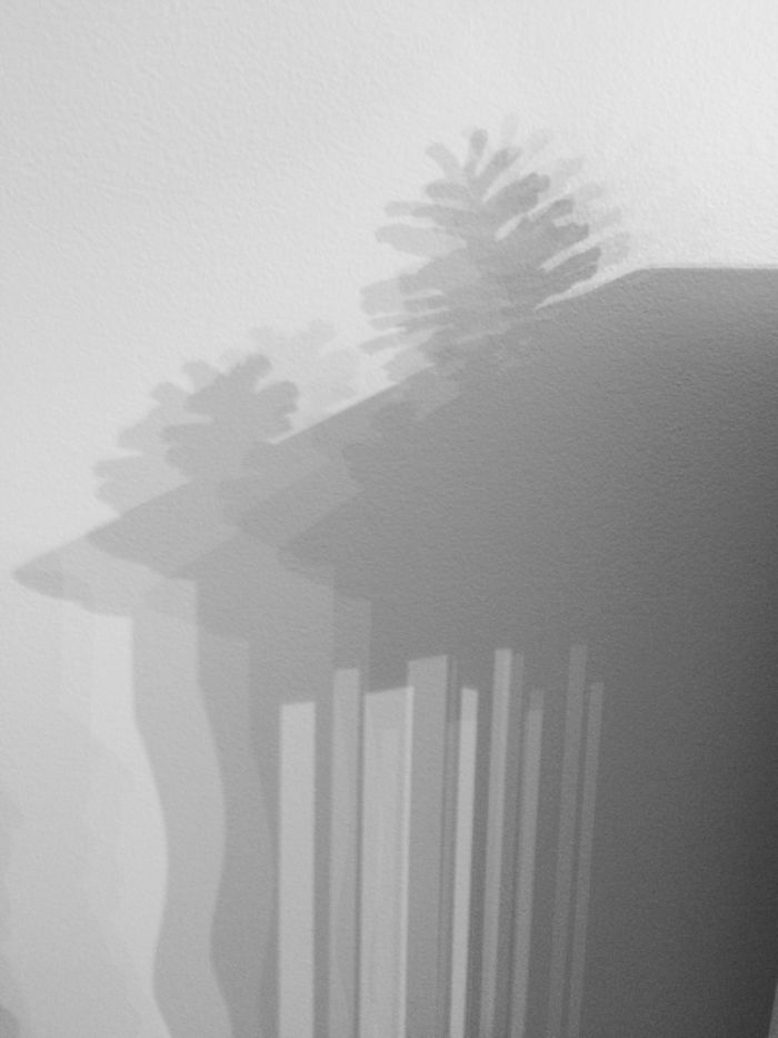 I Photograph Shadows