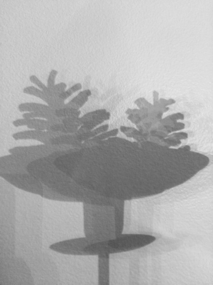 I Photograph Shadows