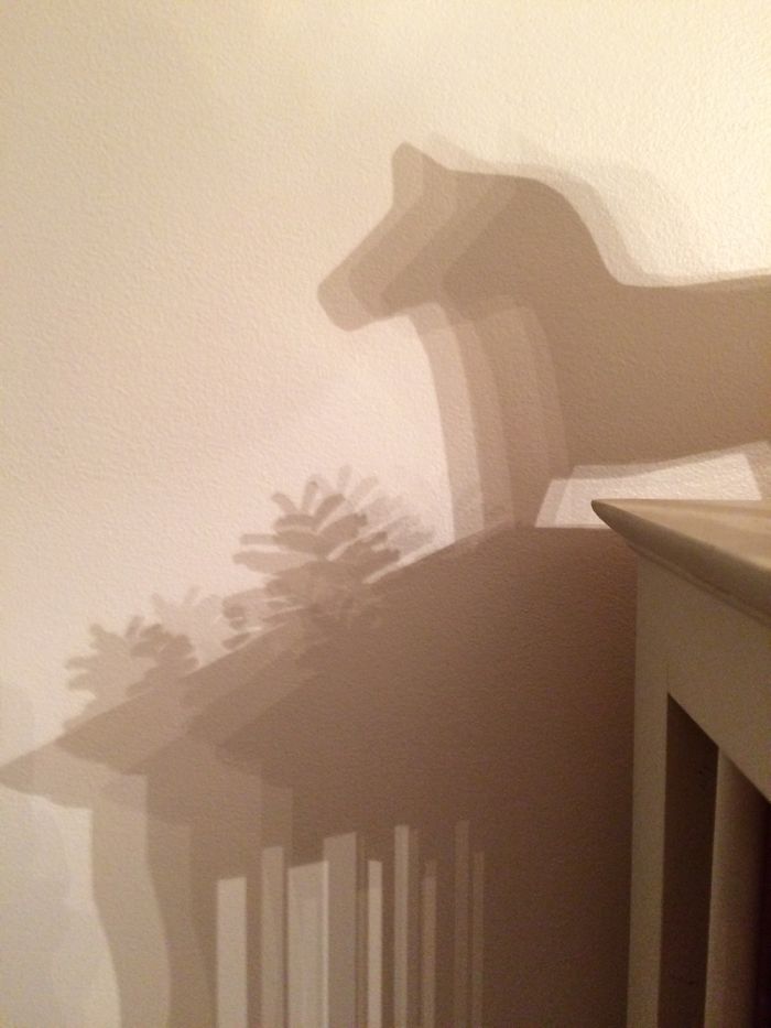 I Photograph Shadows