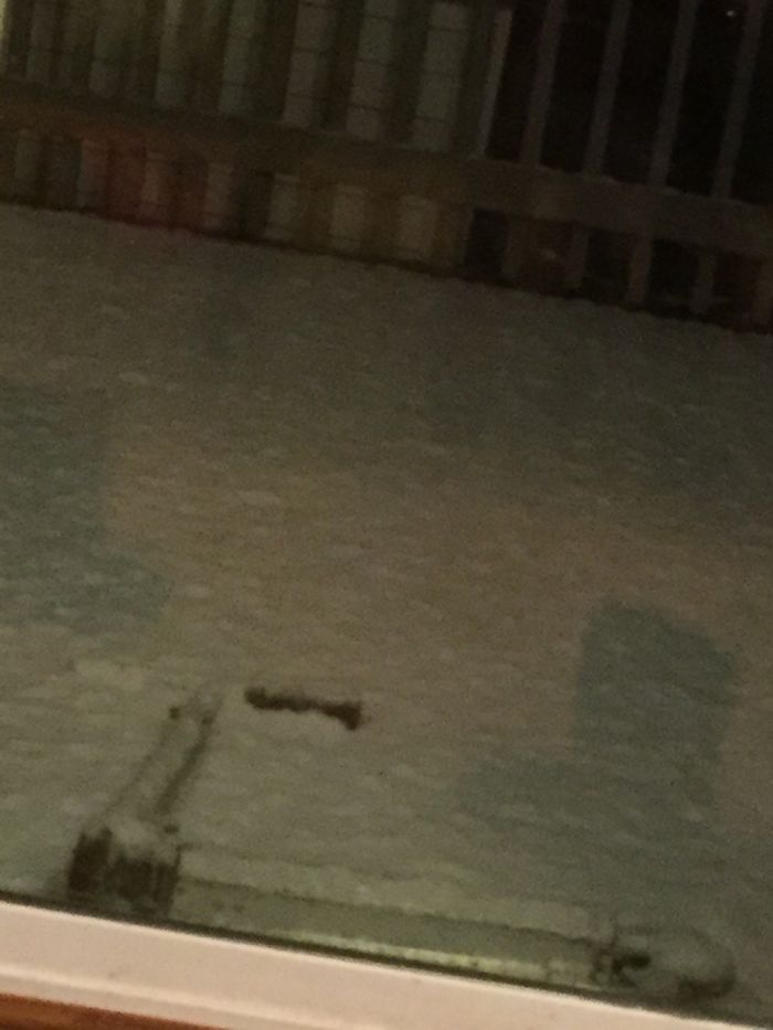 My Brother Used My Scooter And Left It On The Porch. Can't Wait To Dig It Up Tomorrow.