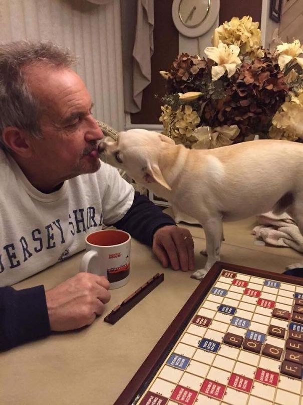 We're Not Getting Another Dog.