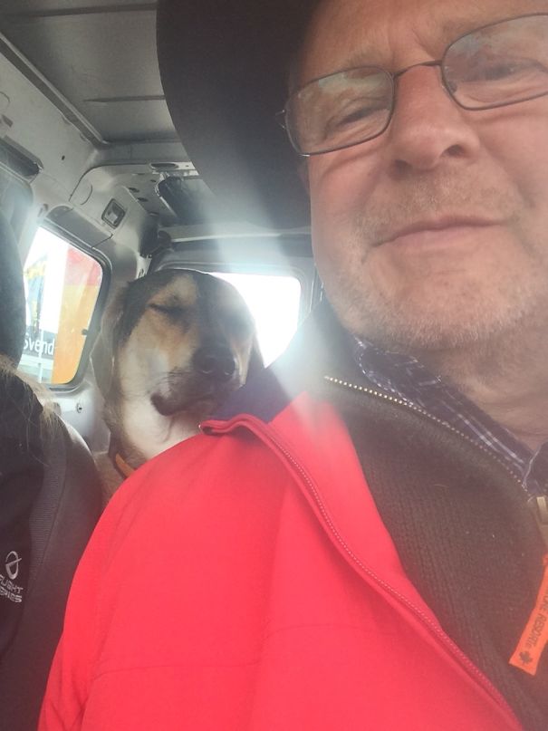 After My Dads Old Dog Died, He Refused To Get A New One. Then I Bought Fernando For Him❤