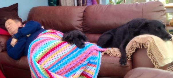 My Hubby Didn't Want A Dog...now We Have Two, Because He Was Worried Our First Was Lonely