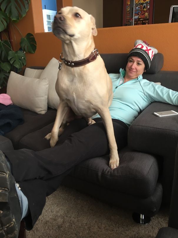 My Mom Said She Didn't Want A Dog But 7 Years Later... P.s. I Know This Is For Dads