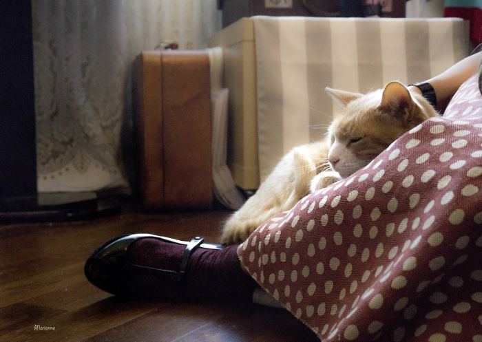 Matisse At The Atelier