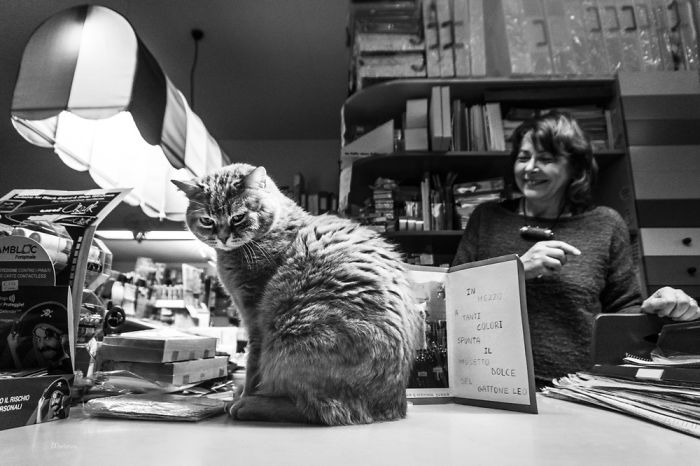 Leo & Valeria At The Stationary