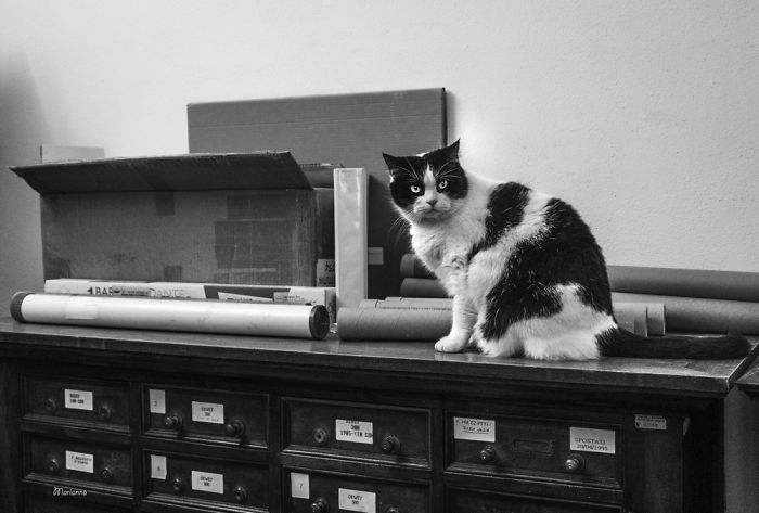 Byron At The Classense Library