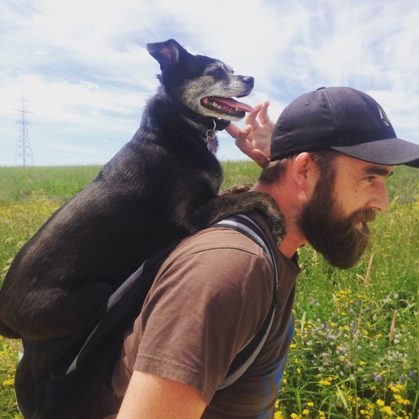 Dexter Is Your Dog!!! 😌