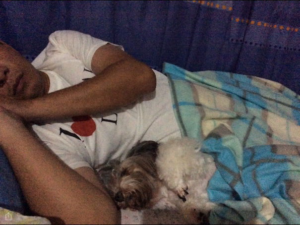 And He Said That Dogs Are Not Good Companions When You're Sick...