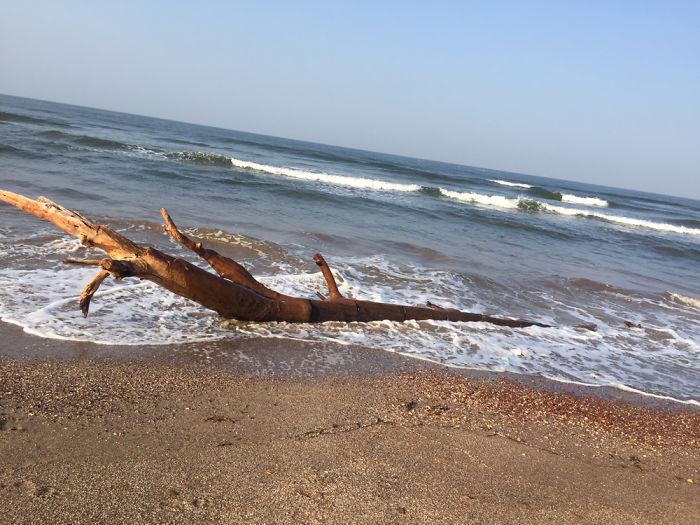 Wherever You Go,go With All Your Heart