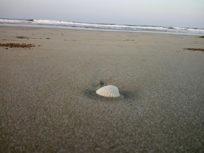 Wherever You Go,go With All Your Heart