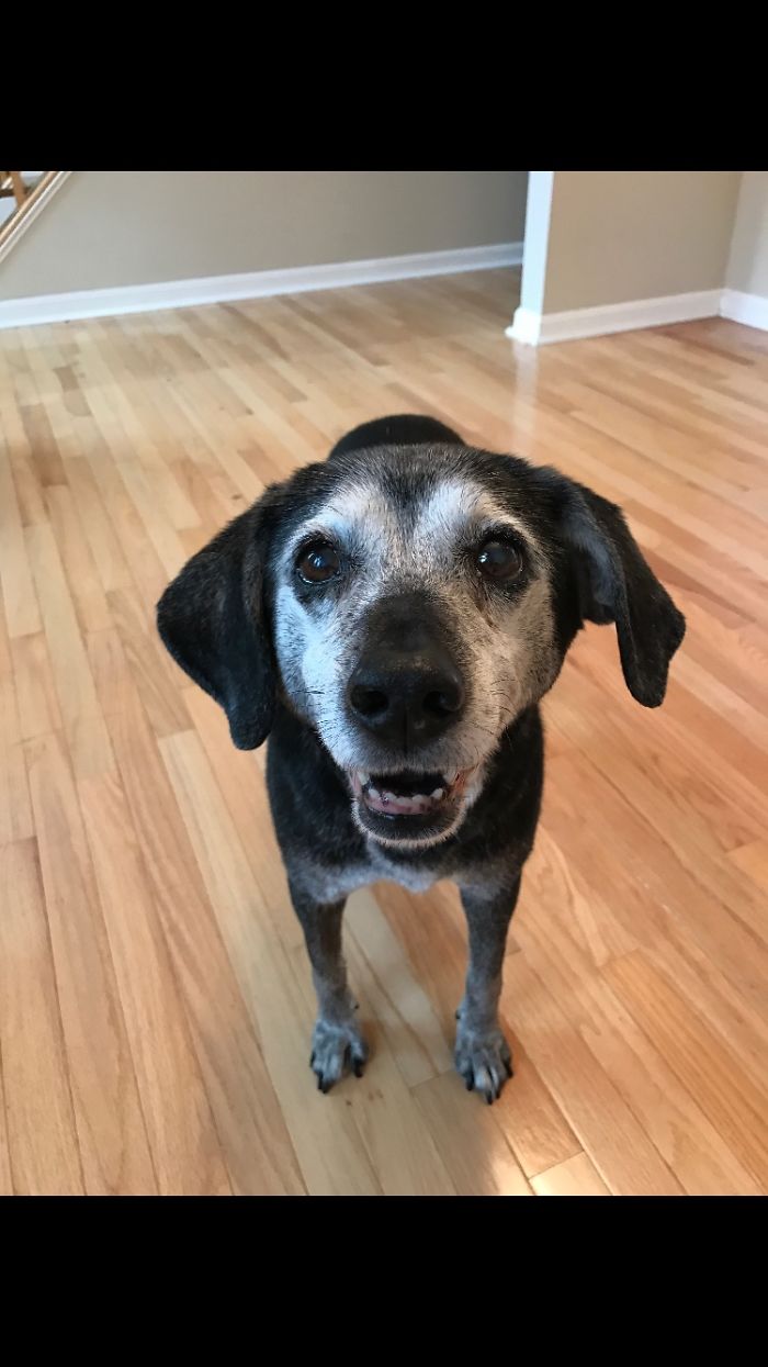 Happiness Is The Best Way