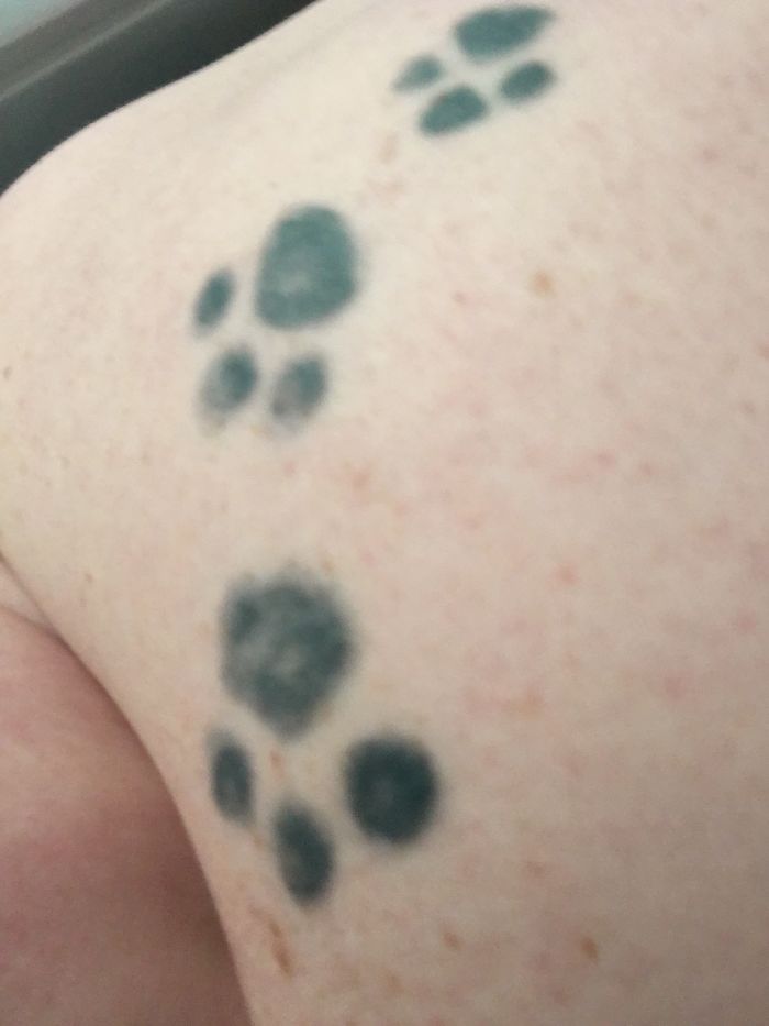 Paw print dog tattoo on skin, showcasing creative tattoo ideas.