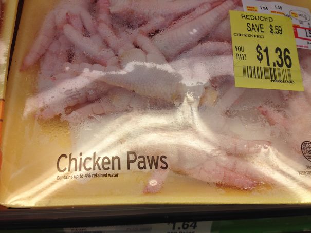 Chicken...... Paws?
