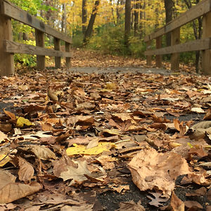 slawnikowskisam14 avatar