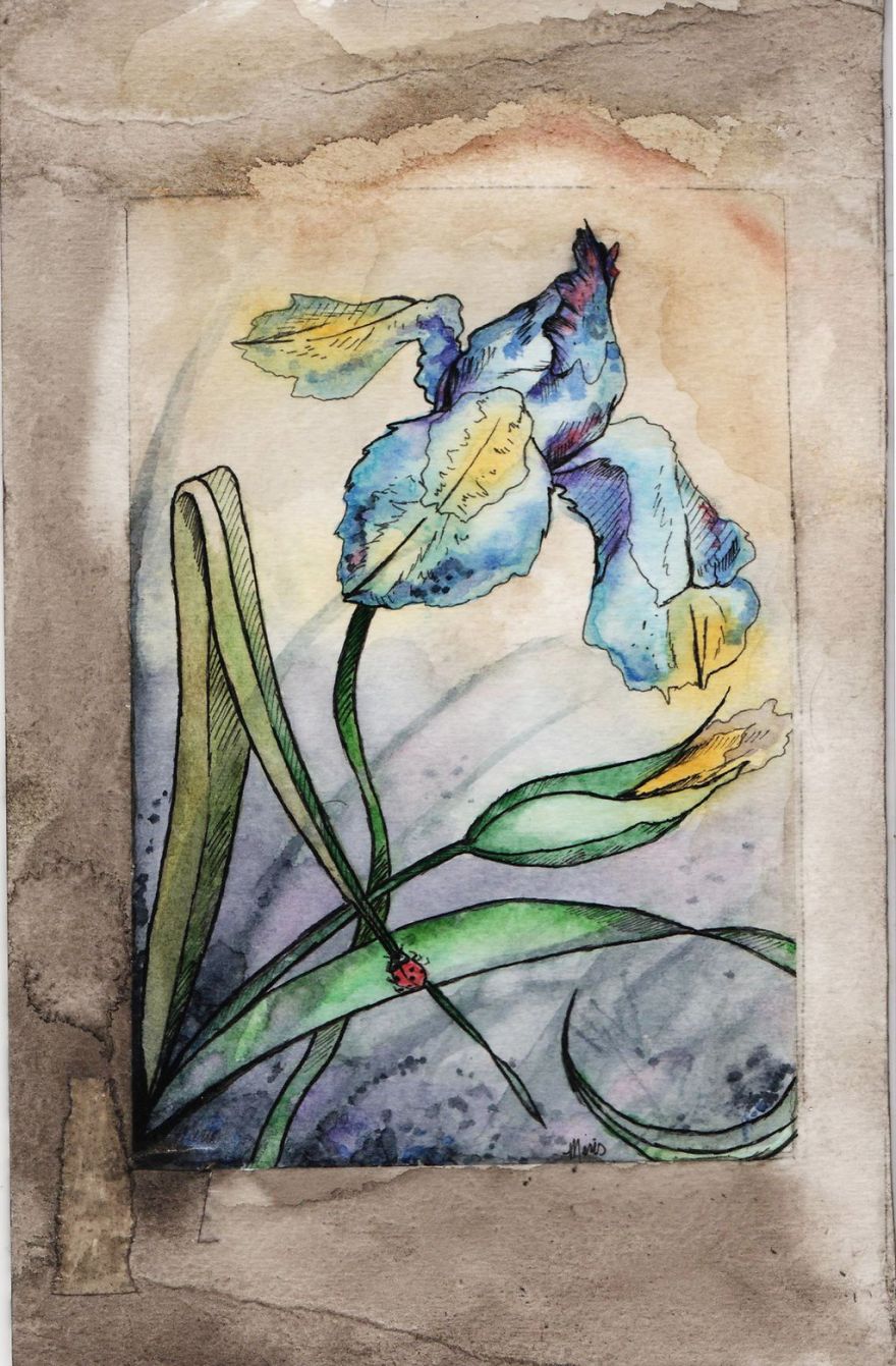 I Am A Transgender Artist Who Paints In Watercolor And Ink