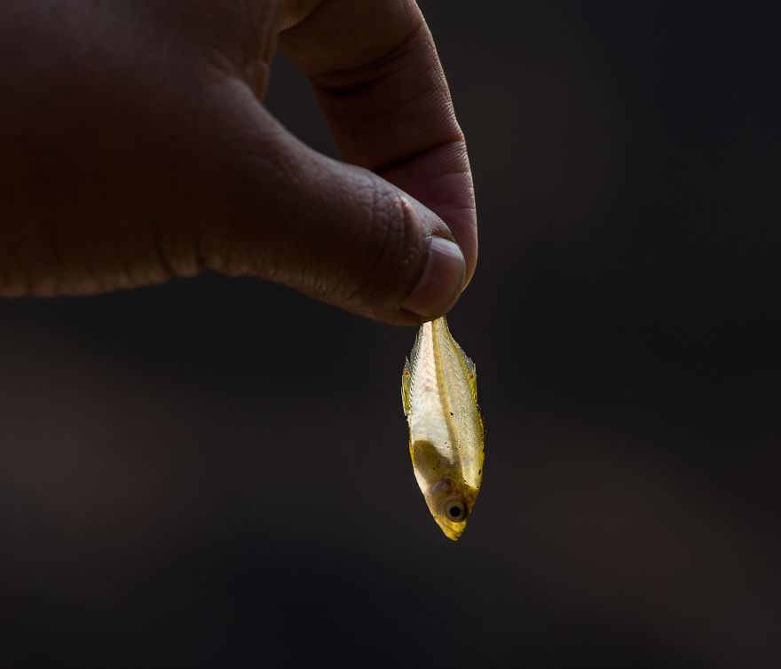 I Photographed "Natives" Of This Planet Earth In My Area Outskirts Of City