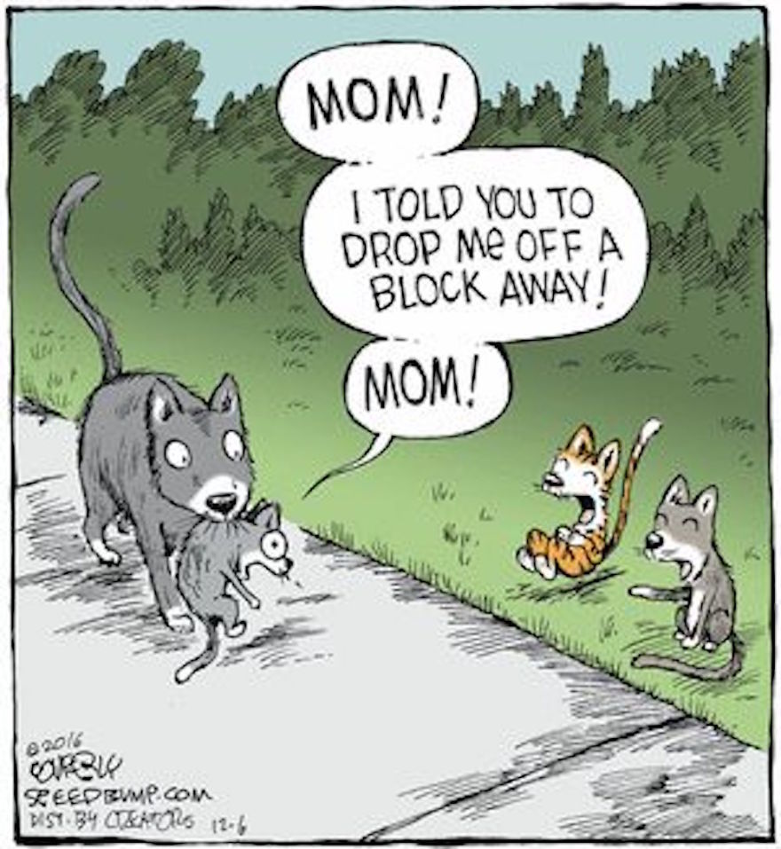 15+ Hilarious Parenting Comics That Will Make Your Heart Melt 15+ Hilarious Parenting Comics That Will Make Your Heart Melt