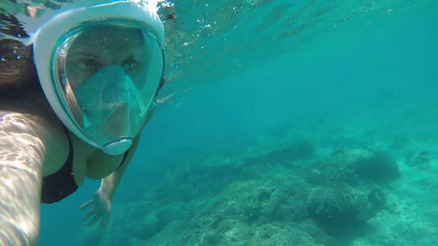 Kisite Marine National Park, Kenya