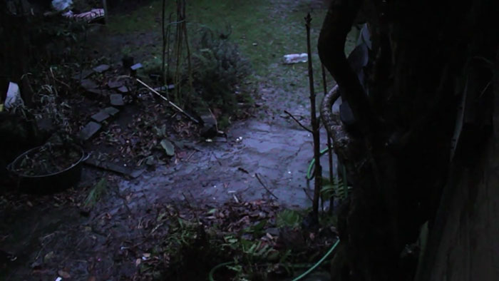 lost-chicken-found-pan-kippiekip-12 lost-chicken-found-pan-kippiekip-12