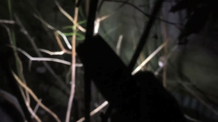 lost-chicken-found-pan-kippiekip-13 lost-chicken-found-pan-kippiekip-13