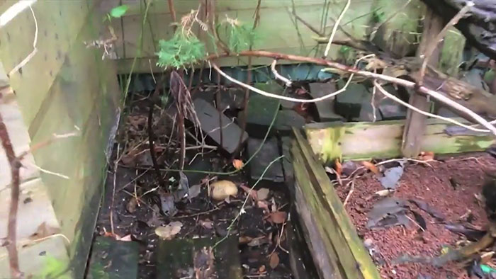 lost-chicken-found-pan-kippiekip-15