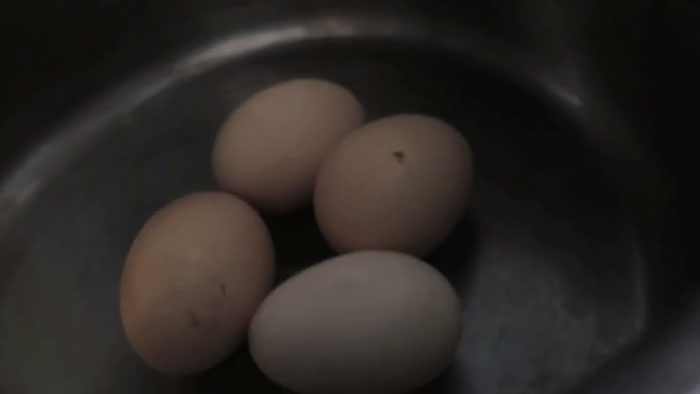 lost-chicken-found-pan-kippiekip-23 lost-chicken-found-pan-kippiekip-23