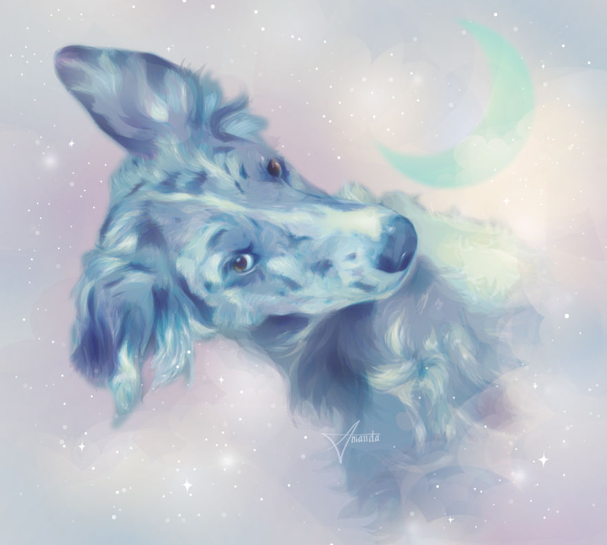 I Draw Digital Pet Portraits That Are Out Of This World I Draw Digital Pet Portraits That Are Out Of This World