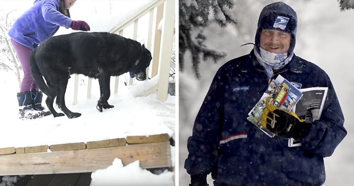Mailman Builds A Ramp So His Old Dog Friend Could Still Greet Him When He Comes