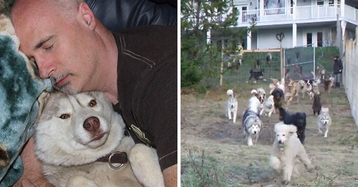 When This Man Adopted 45 Shelter Dogs, He Soon Realized They Deserve Better, So He Did Something Amazing