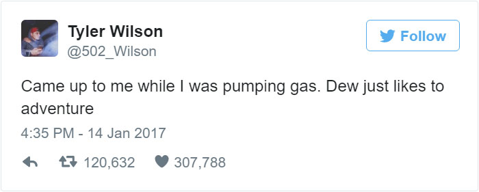 man-finds-dog-id-tag-dew-adventures-1 man-finds-dog-id-tag-dew-adventures-1