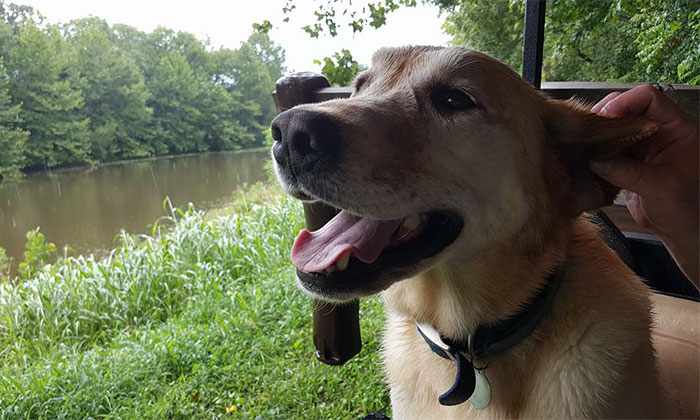 man-finds-dog-id-tag-dew-adventures-7 man-finds-dog-id-tag-dew-adventures-7