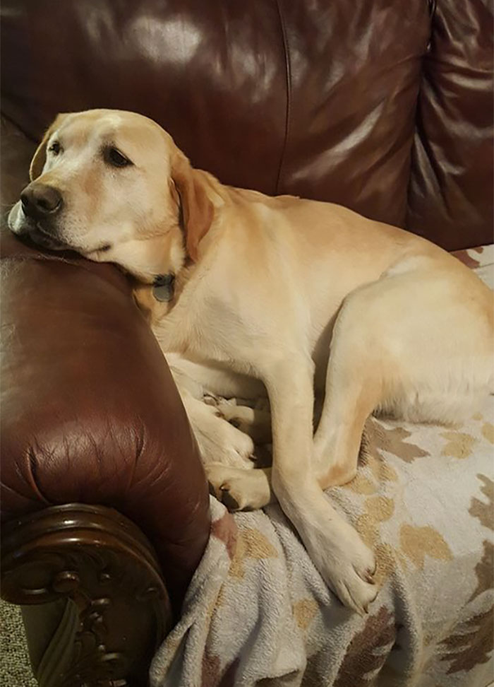 man-finds-dog-id-tag-dew-adventures-9 man-finds-dog-id-tag-dew-adventures-9