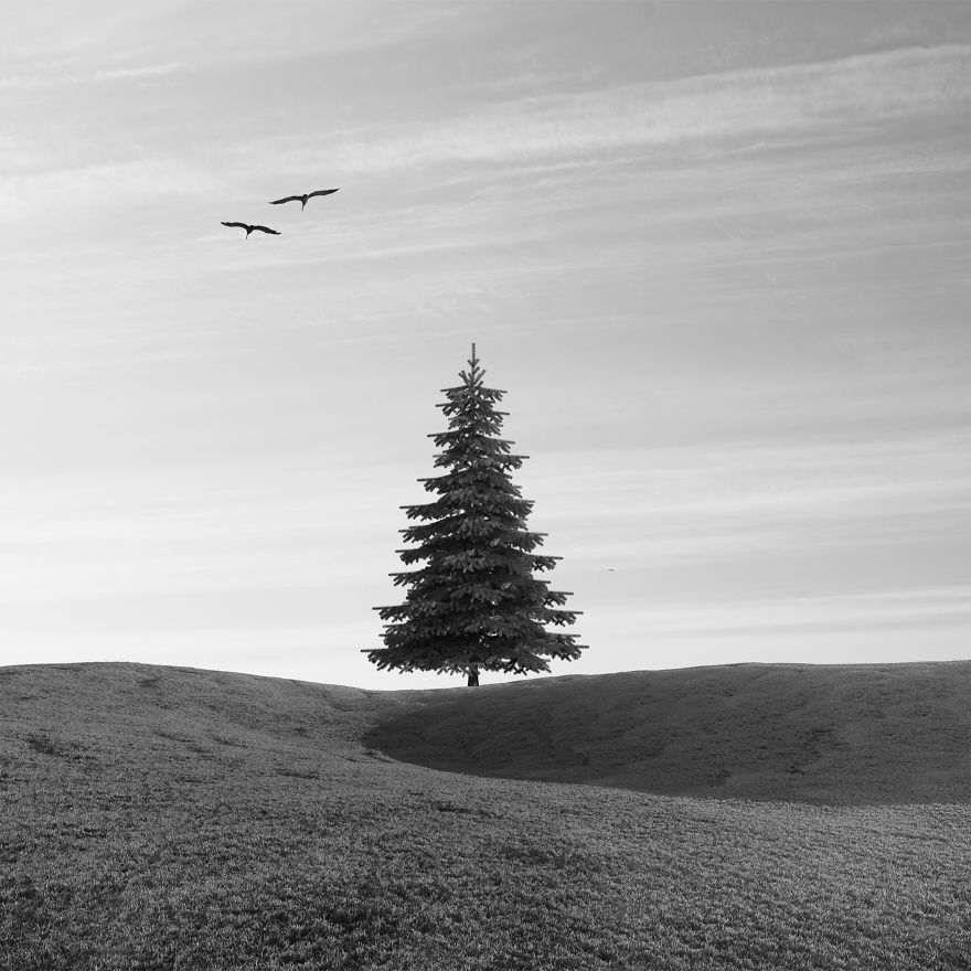 I See The World In A Minimalist Way