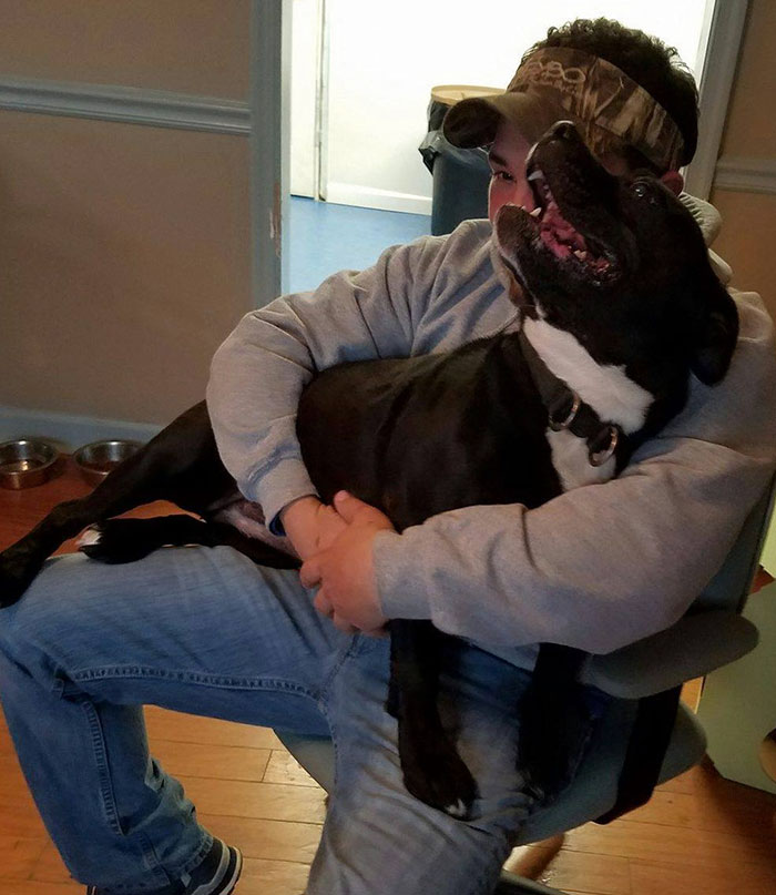 one-eyed-deaf-pitbull-scarlett-8 one-eyed-deaf-pitbull-scarlett-8