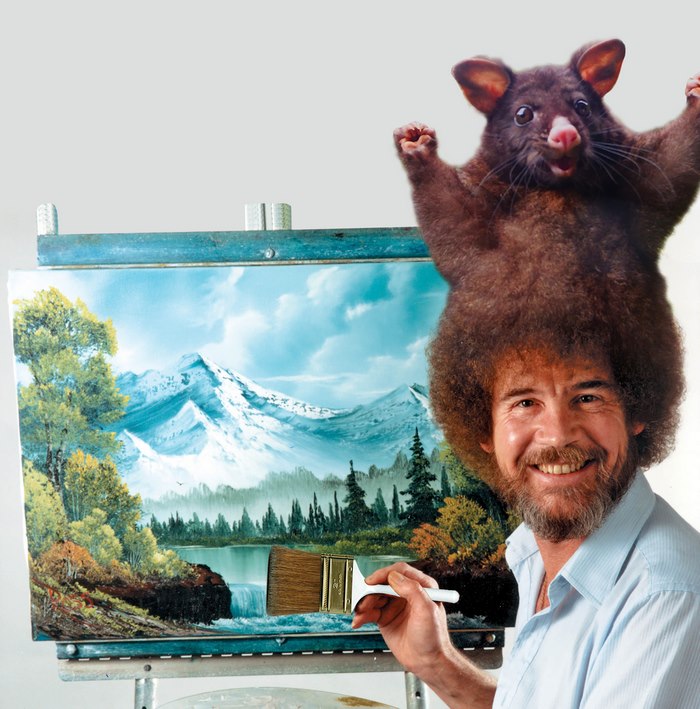 Bob Ross And Opossum Hair