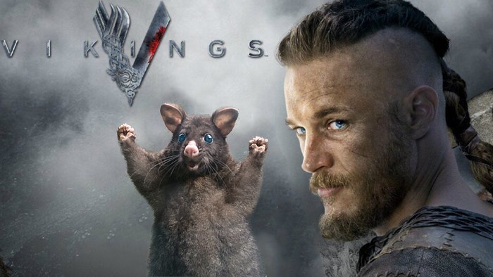Vikings