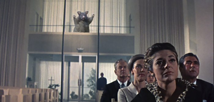 "elaine! Elaine!" - The Graduate (1967)