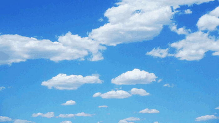 Super Possum To The Rescue!