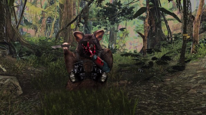 Snake After Way To Many Surgeries...