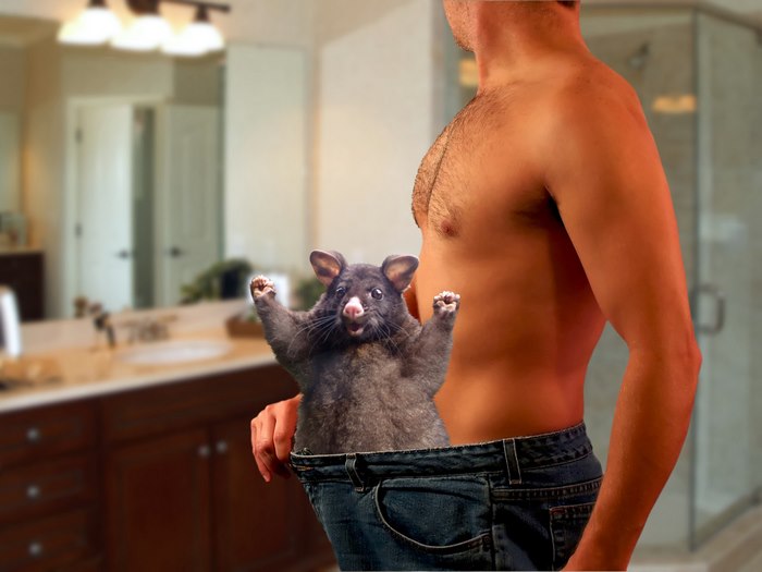 Congratulations On Your Weight Loss!