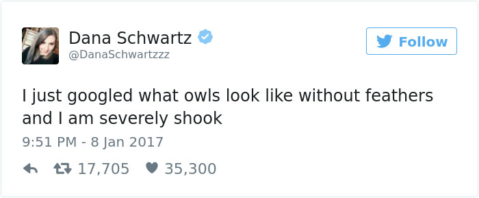 Tweet about owl appearance without feathers, expressing surprise. Tweet about owl appearance without feathers, expressing surprise.